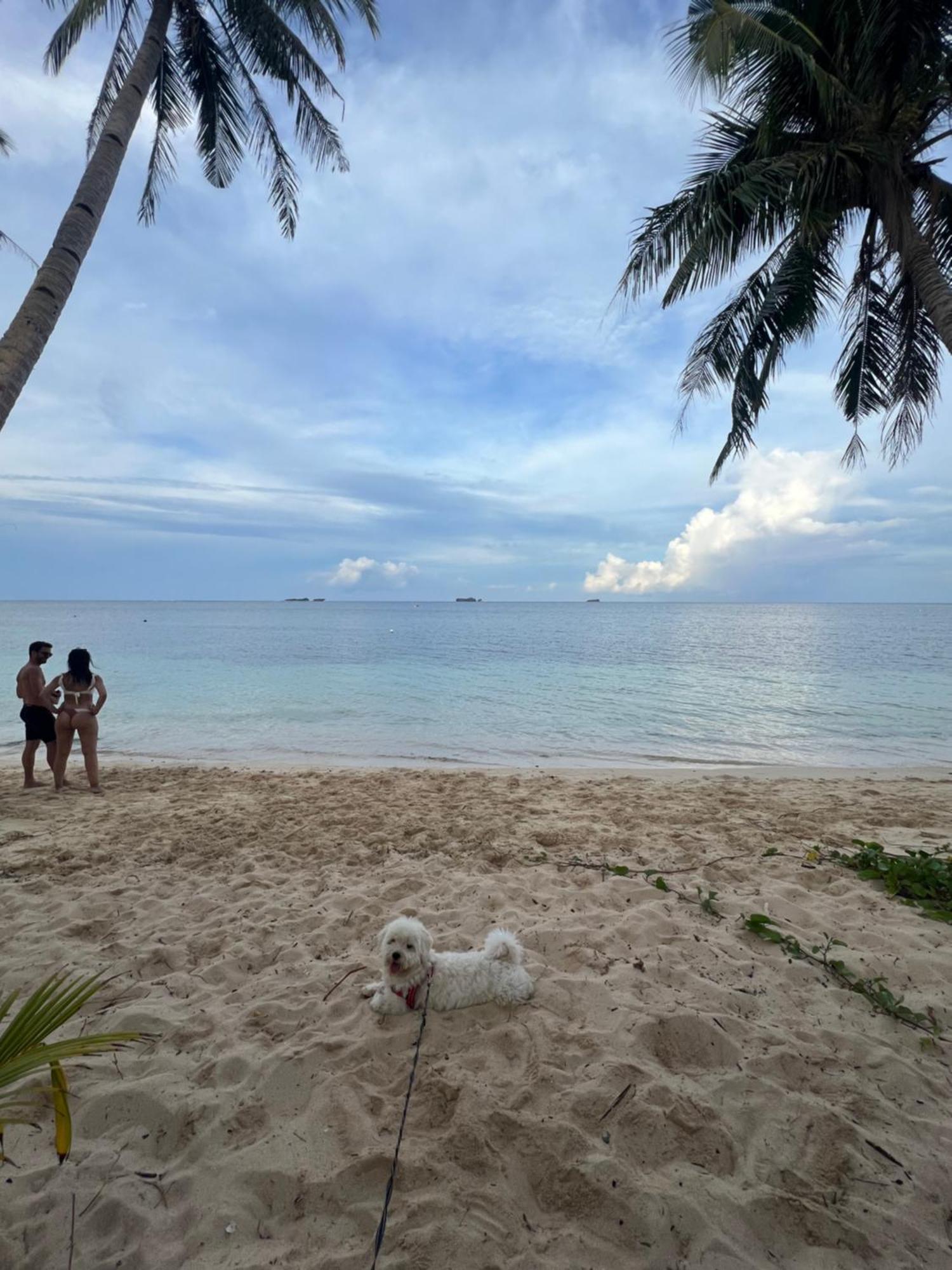 Summer Stay Sunrise W Starlink General Luna  Extérieur photo